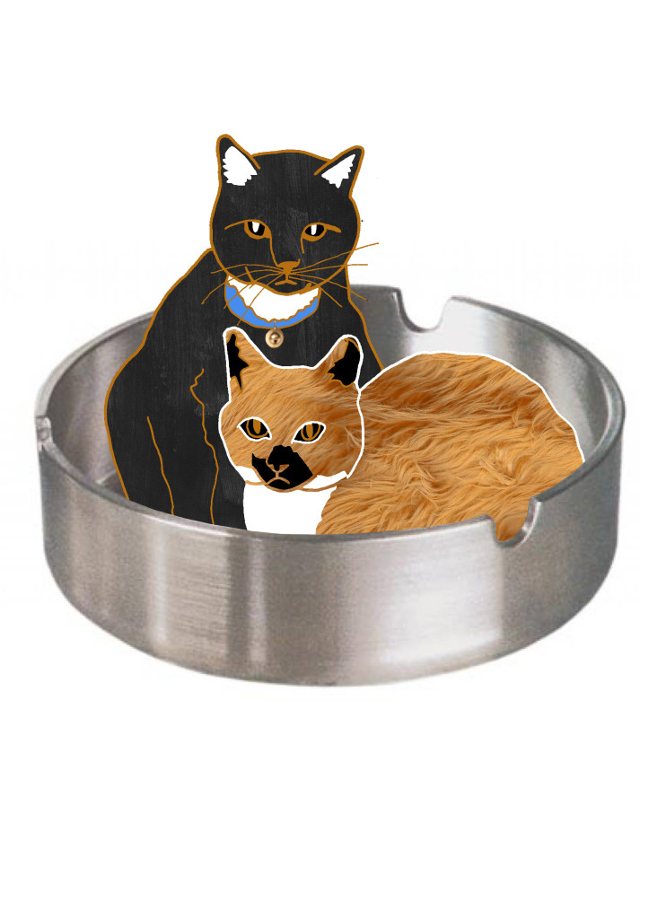 2.as-katten-bak