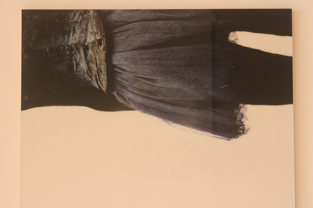Louise Lawler