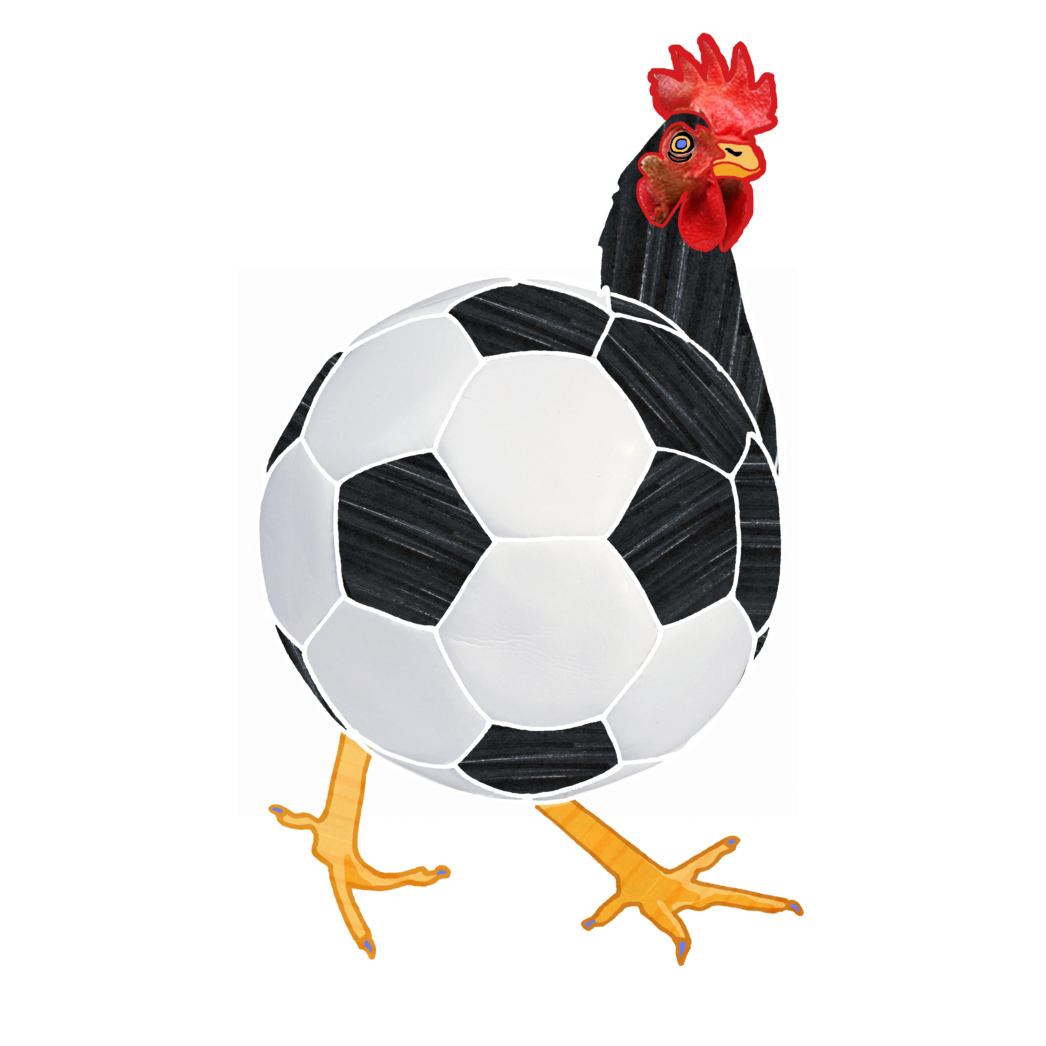 Ellis.voetbalkip